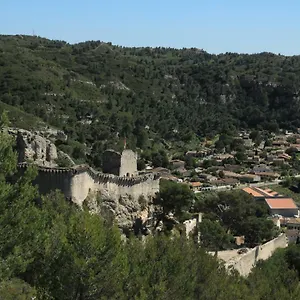 Les Lavandes De Sèverine Boulbon